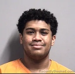 Mugshot of TONY HIEP LE booked in Dallas County, Iowa on March 6, 2026