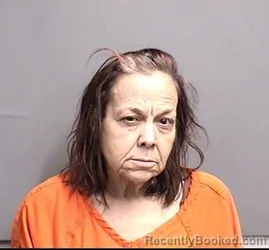 Mugshot of JOHNEENE RENEE SEXTON booked in Dallas County, Iowa on March 13, 2026