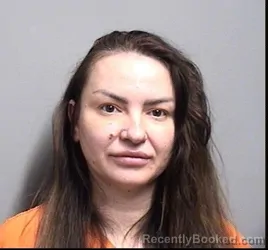 Mugshot of VIOLETA IKELJIC booked in Dallas County, Iowa on April 4, 2026