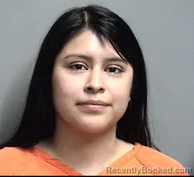 Mugshot of NOEMI ESTRELLA ROSALES PAULIN booked in Dallas County, Iowa on April 24, 2026