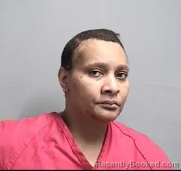 Mugshot of OLYMPIA RACHELLE COOKS booked in Dallas County, Iowa on April 29, 2026