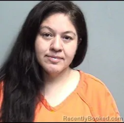 Mugshot of SILVIA MOLINA FLORES booked in Dallas County, Iowa on May 12, 2026