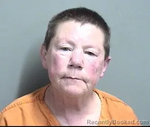 Mugshot of BRIDGET LEE KNOCHE booked in Dallas County, Iowa on May 24, 2026