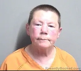 Mugshot of BRIDGET LEE KNOCHE booked in Dallas County, Iowa on June 16, 2026
