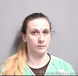 Mugshot of TAYLOR ANN SAMPLE booked in Dallas County, Iowa on June 18, 2026