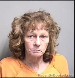 Mugshot of TINA LOUISE WELLS booked in Dallas County, Iowa on June 18, 2026