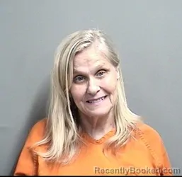 Mugshot of SUSAN DIANN HOOK booked in Dallas County, Iowa on June 20, 2026