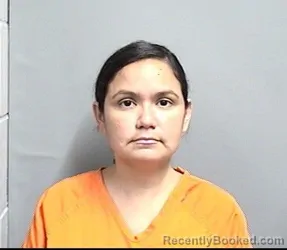Mugshot of ASHLEY RENEE DOMINGUEZ-GRAY booked in Dallas County, Iowa on July 25, 2026