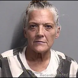 Mugshot of DEBORAH ANN MILLER booked in Dallas County, Iowa on July 26, 2026