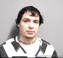 Booking photo from Dallas County, Iowa