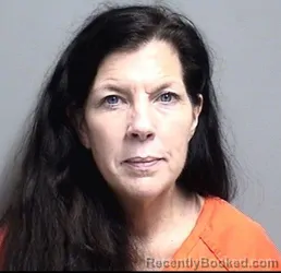 Mugshot of Robin Renee Vinzant booked in Dallas County, Iowa on August 22, 2026