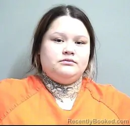 Mugshot of Kaitlyn Star Heinonen booked in Dallas County, Iowa on August 24, 2026