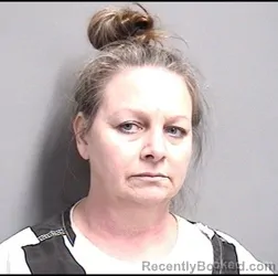 Mugshot of Heather Lynne Cole booked in Dallas County, Iowa on August 27, 2026