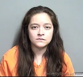Mugshot of Adara Ann Schoiber booked in Dallas County, Iowa on August 30, 2026