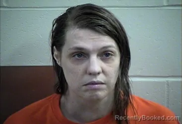 Mugshot of CRYSTAL ASHLEY LARSON booked in Decatur County, Iowa on May 18, 2026