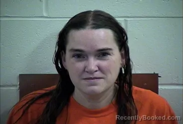 Mugshot of LINESSA ELAINE HUGHES booked in Decatur County, Iowa on June 5, 2026