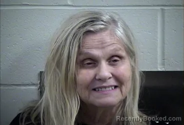 Mugshot of SUSAN HOOK booked in Decatur County, Iowa on June 20, 2026