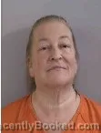 Mugshot of TANYA RAE DEFRIES booked in Dickinson County, Iowa on June 11, 2026