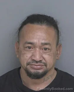 Mugshot of MIXSON &nbsp; LIVAI
