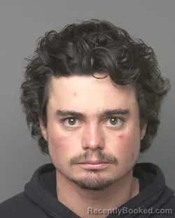 Mugshot of MAXWELL THEODORE PINS