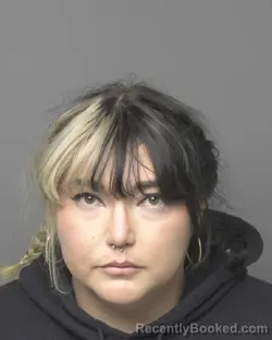 Mugshot of ADRIANA KRISTINE CASTILLO
