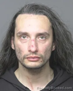 Booking photo from Dubuque County, Iowa