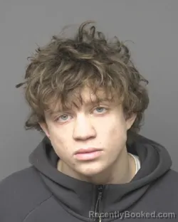 Mugshot of NICHOLAS ALLAN AVENARIUS