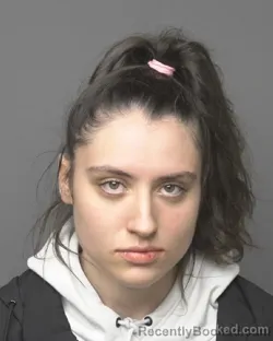 Mugshot of CHELSEA LYNN BUSSAN