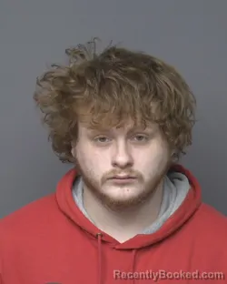 Mugshot of PARKER JAMES NIEDO