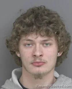 Mugshot of LUCAS LABRON STOYKE
