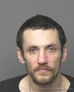 Mugshot of TYLER JEFFERY SCHETGEN