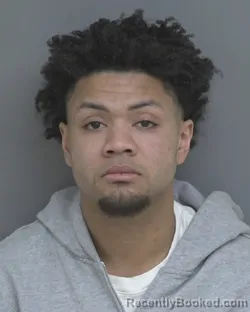 Mugshot of RILEY BRANNEN MCWILSON