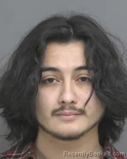 Mugshot of ANDRUW JONATHAN JARA