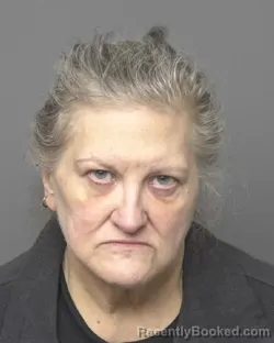 Mugshot of PATRICIA ANNE SCHILLING booked in Dubuque County, Iowa on March 6, 2026