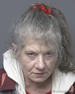 Mugshot of MARY CATHERINE BOSVELD