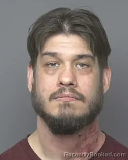 Mugshot of DAVID LEVI LANGKABEL