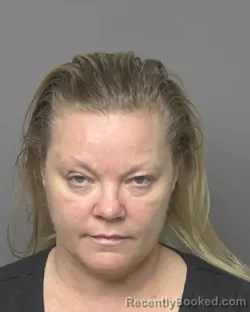 Mugshot of AMY ANN SCHMITZ