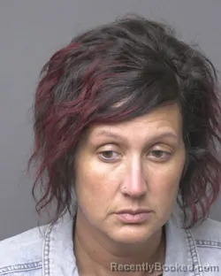 Mugshot of DANIELLE LEE MINNICK