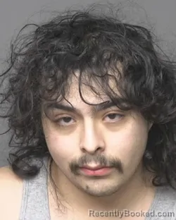 Mugshot of SEBASTIAN &nbsp; LEDEZMA booked in Dubuque County, Iowa on March 20, 2026