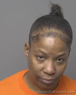 Mugshot of TIFFANY MARIE DUKES booked in Dubuque County, Iowa on April 4, 2026