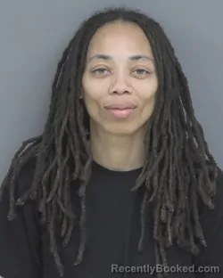 Mugshot of BRANDI ALISHA RAY booked in Dubuque County, Iowa on April 4, 2026