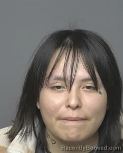 Mugshot of JAMILA RENEE REDTOMAHAWK booked in Dubuque County, Iowa on April 8, 2026