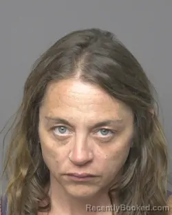 Mugshot of CATHERINE ANNE FESSLER booked in Dubuque County, Iowa on June 2, 2026