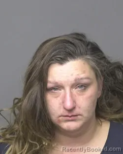 Mugshot of KYLEE ANN VANDERMEULEN booked in Dubuque County, Iowa on June 14, 2026
