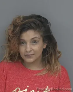 Mugshot of AMANDA MONIQUE LOPEZ booked in Dubuque County, Iowa on June 15, 2026