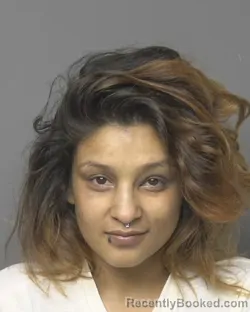 Mugshot of AMANDA MONIQUE LOPEZ booked in Dubuque County, Iowa on June 16, 2026
