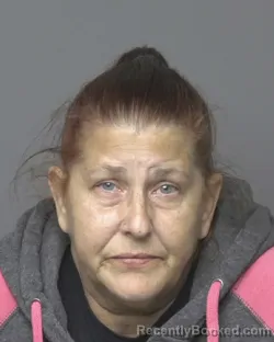 Mugshot of DOROTHY LOUISE BRADLEY booked in Dubuque County, Iowa on June 17, 2026