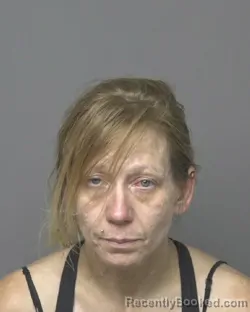 Mugshot of RENEE JEAN ANDERSON booked in Dubuque County, Iowa on June 28, 2026