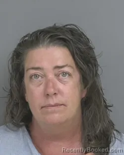 Mugshot of TRACIE ANN DELARM booked in Dubuque County, Iowa on July 1, 2026
