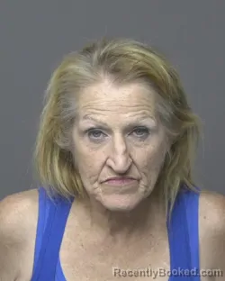 Mugshot of KRISTA LEE HEMPLE-ANDERSON booked in Dubuque County, Iowa on July 13, 2026